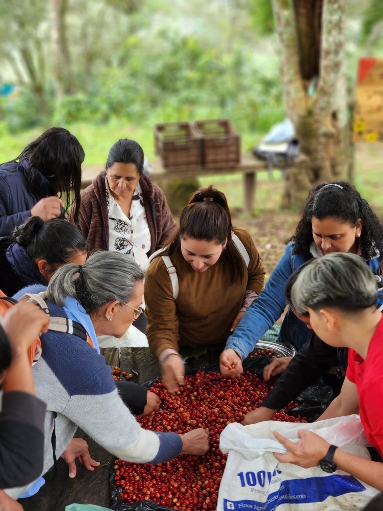 Selección de granos